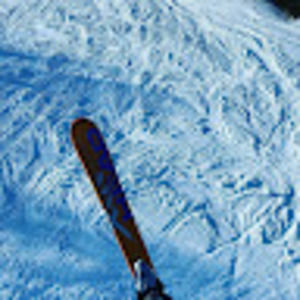 Meet your Posher, Jack drover